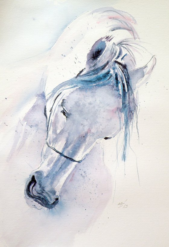 White horse
