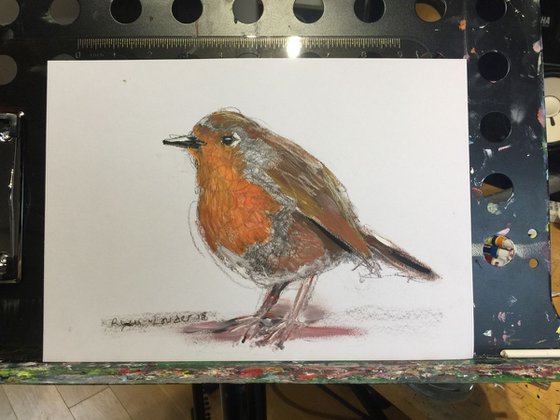 Robin