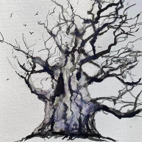 Monochrome - Winter Oak tree