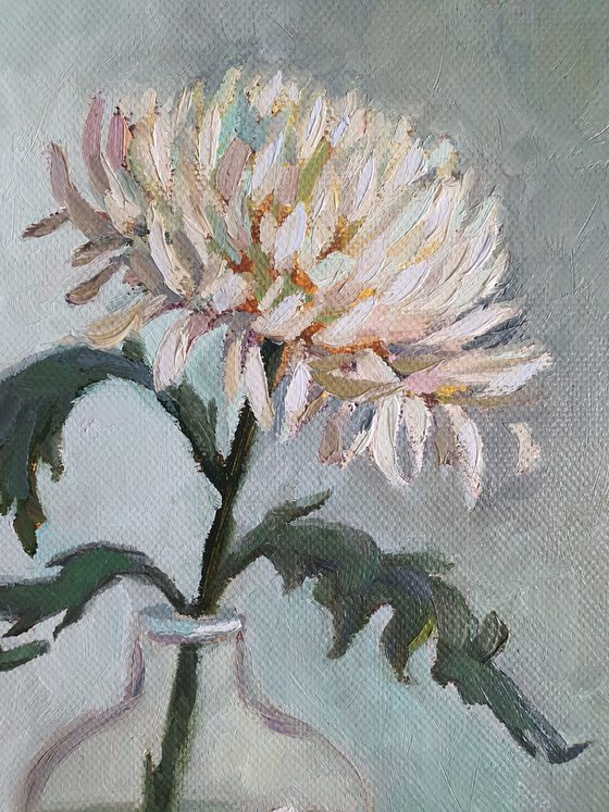 "Chrysanthemum"