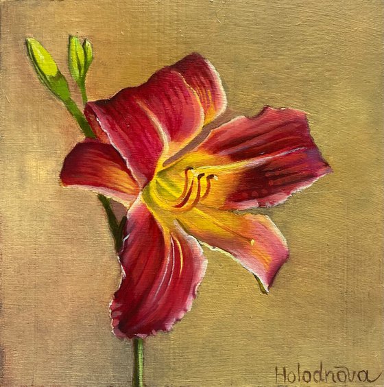 Royal Lily