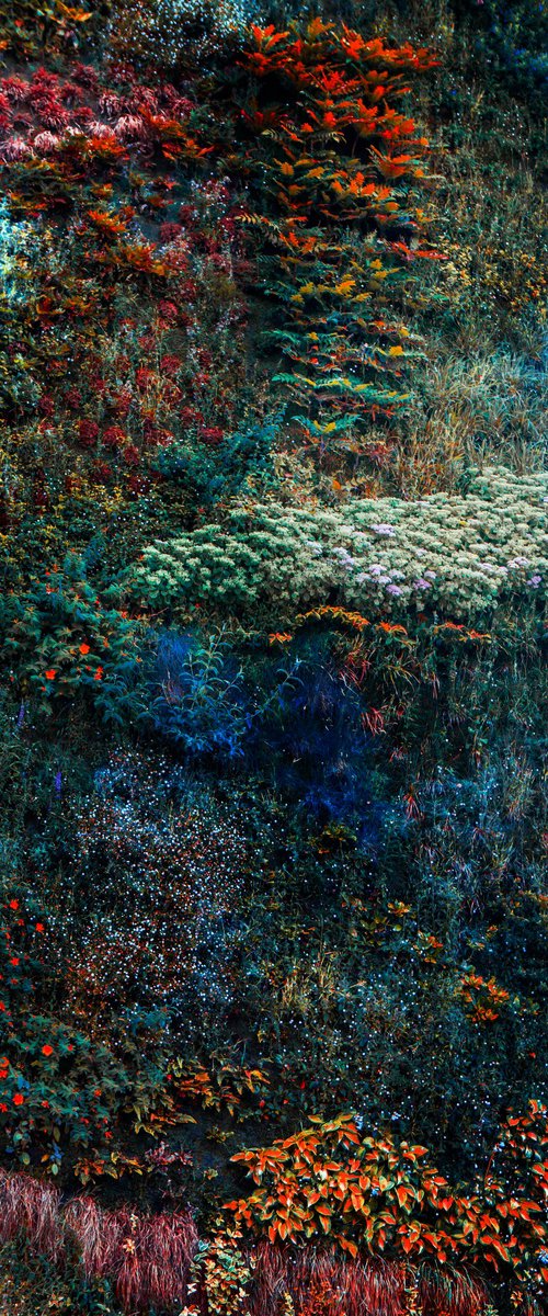 Wall of Nature V (Framed) by Viet Ha Tran