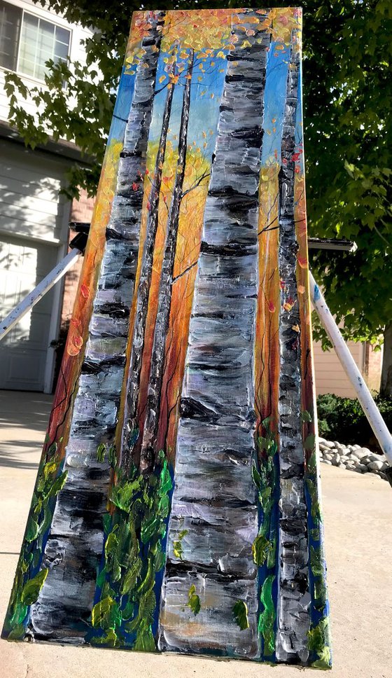 Colorado Aspen 1