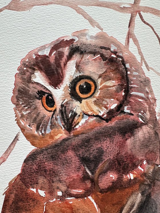 Birds: White Crane and Little Owl