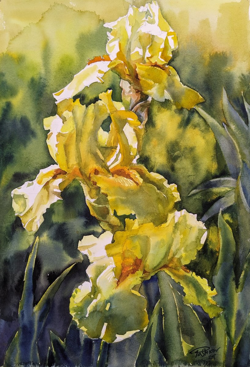 YELLOW IRISES#4 by Yurii Pashkov