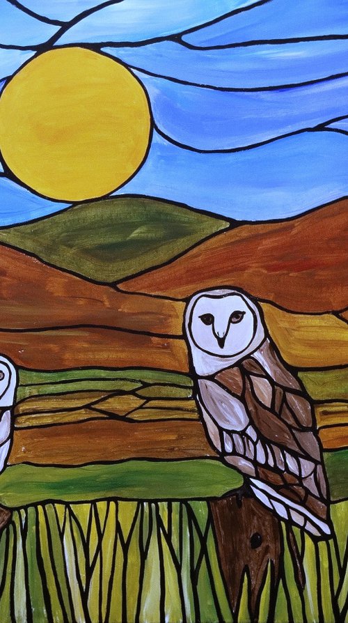 Barn owls by Rachel Olynuk