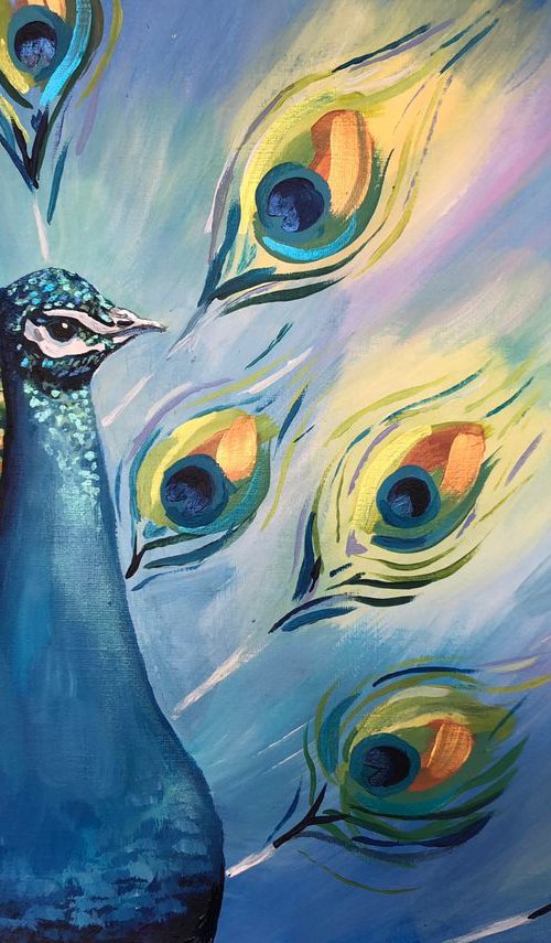Peacock by Annabelle Painter