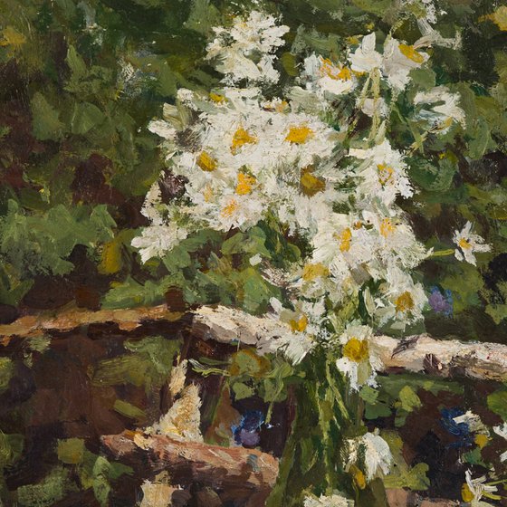 Still Life with Daisies