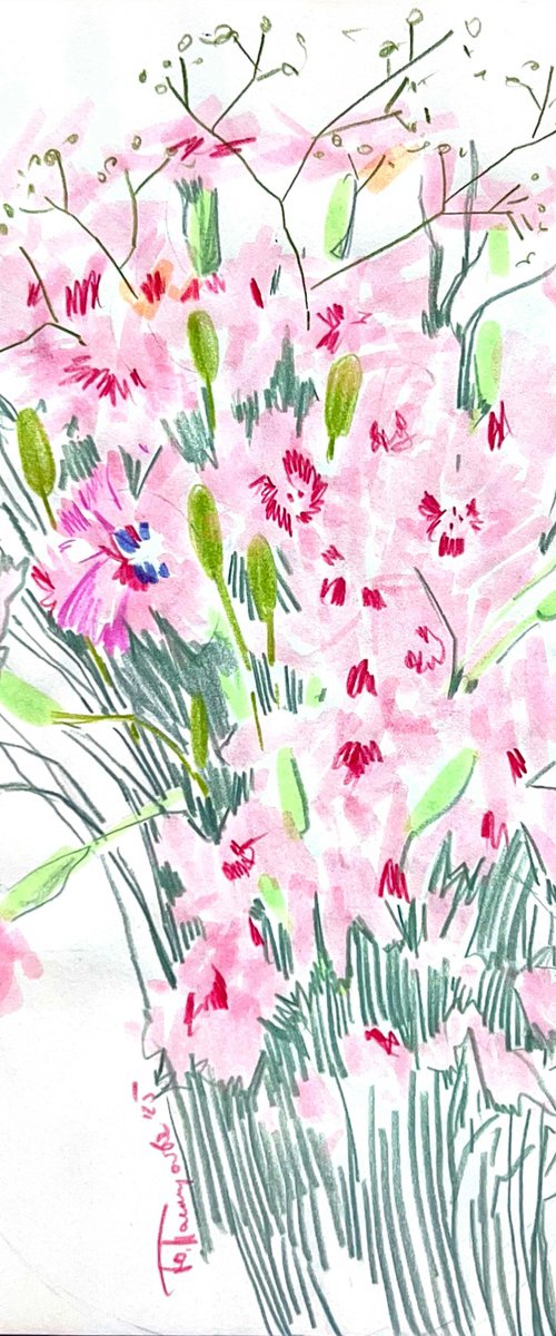 carnations flowers by Yuliia Pastukhova