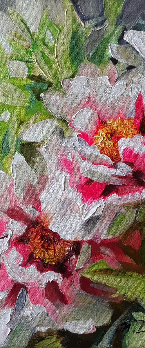 Tree-like peonies by Nataly Derevyanko