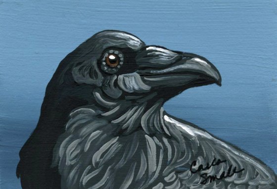 Crow Raven