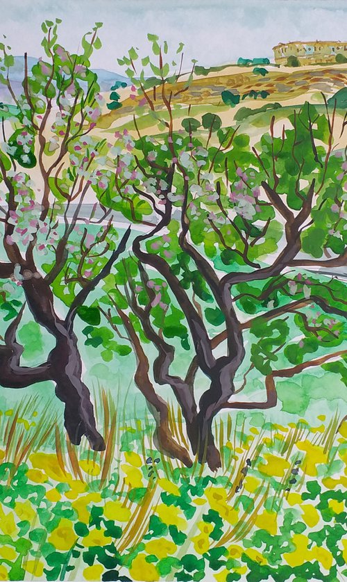 Almond blossom on the Sierra Gorda by Kirsty Wain