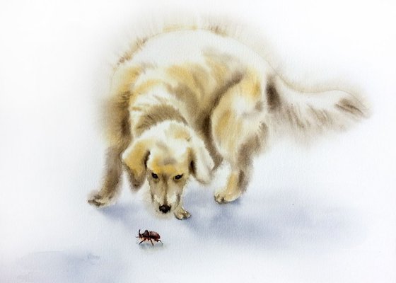 Golden retriever -  Yellow dog symbol of New Year 2018