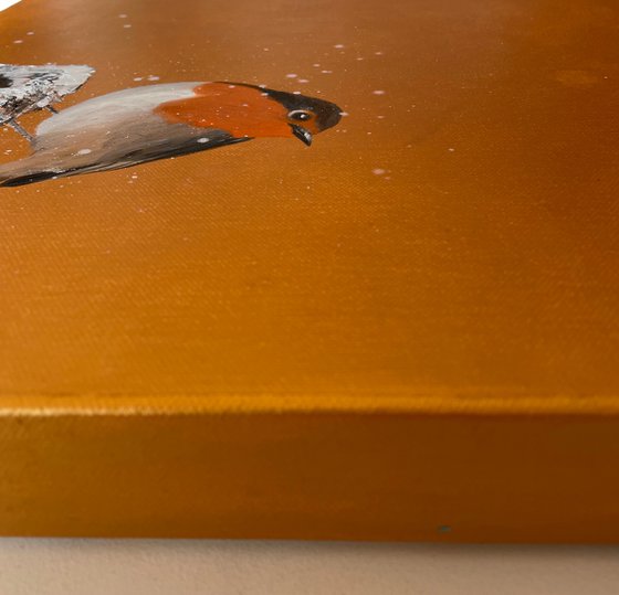 Red Robin in the Snow