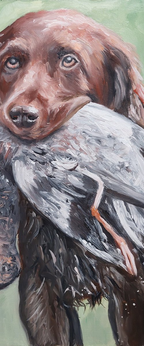 German pointer commisionart by Els Driesen