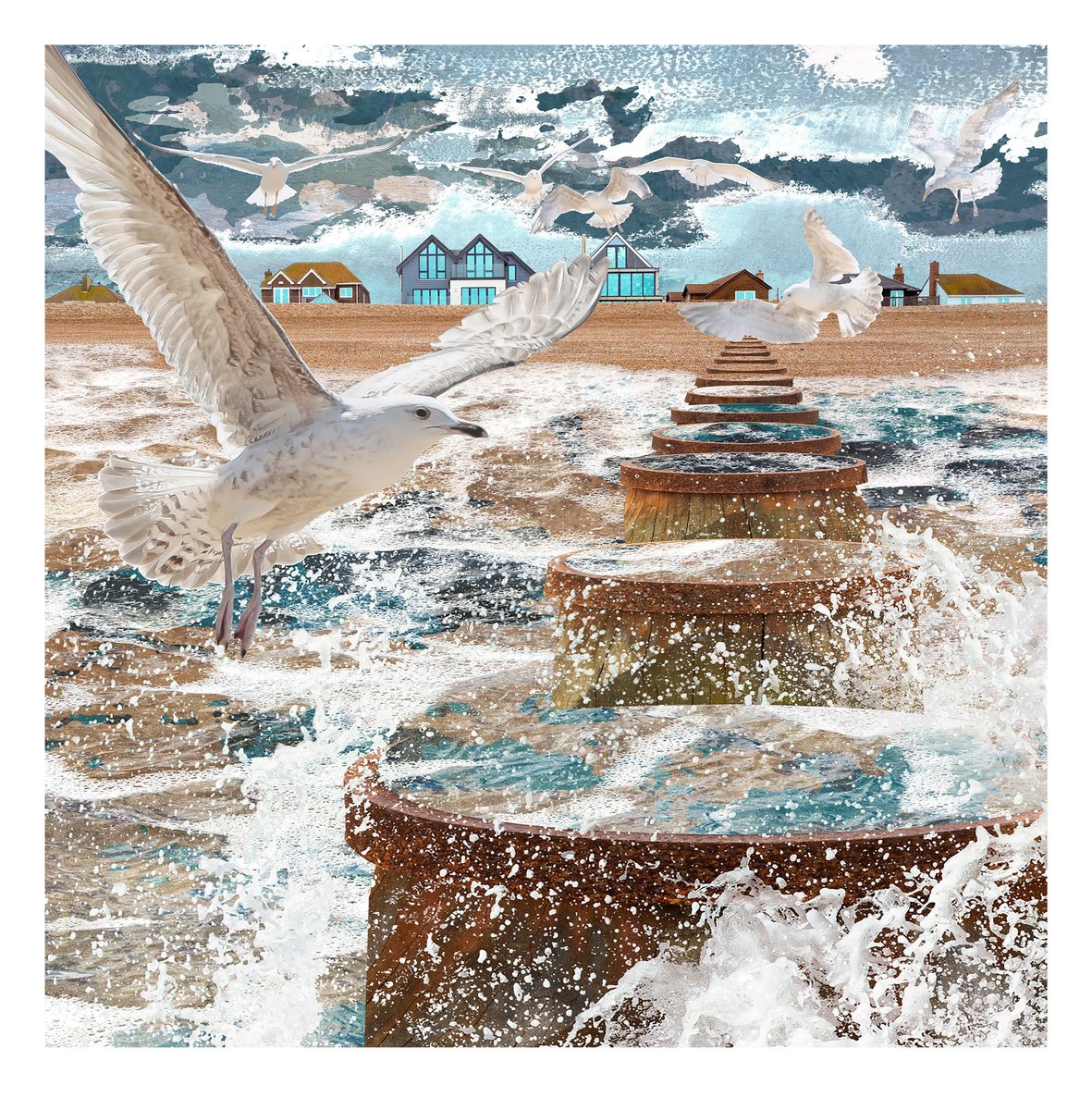 Animal Photograph By Claire Gill, 24 X 24, The Aviators, Original Artwork