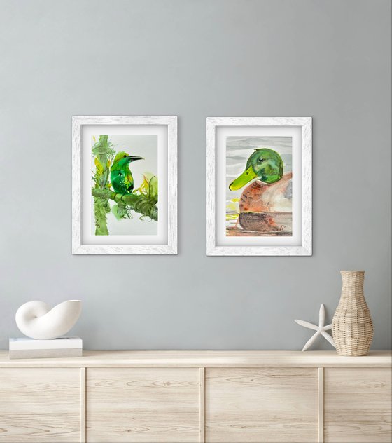 Birds: Toucan and Duck