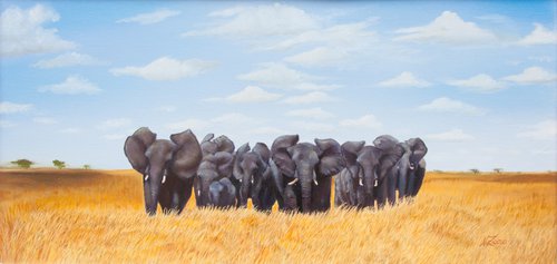 Herd of elephants by Norma Beatriz Zaro