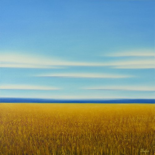 Summer Gold Field - Blue Sky Landscape by Suzanne Vaughan