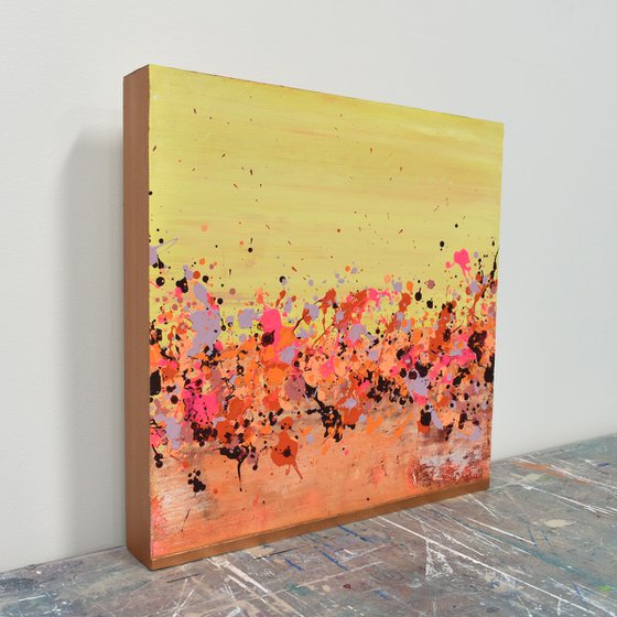 Sunkist Coral 3