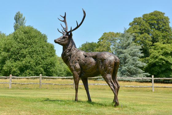 Standing Red Deer Stag - Bronze Resin