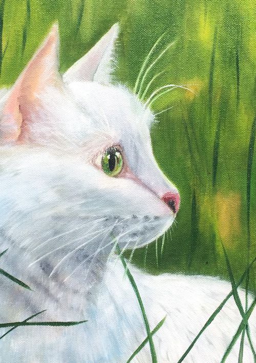 white Cat for a walk. Realistic Portrait a lovely Cat by Ira Whittaker