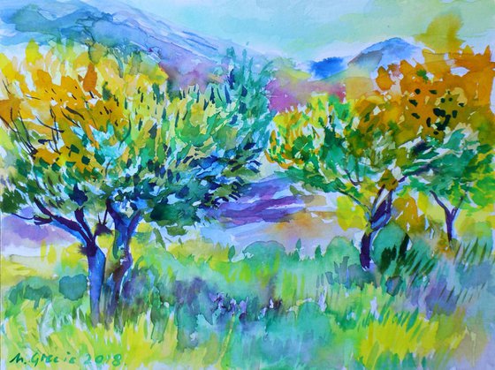 Olive grove No 4