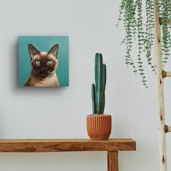 Elegant Siamese Cat