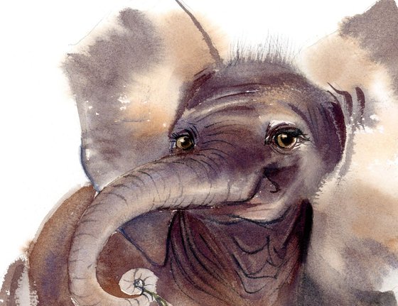 The elephant portrait