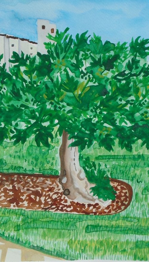 Fig Tree in Mid Summer by Kirsty Wain