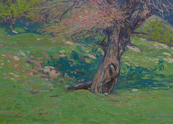 May. Spring in Teberda