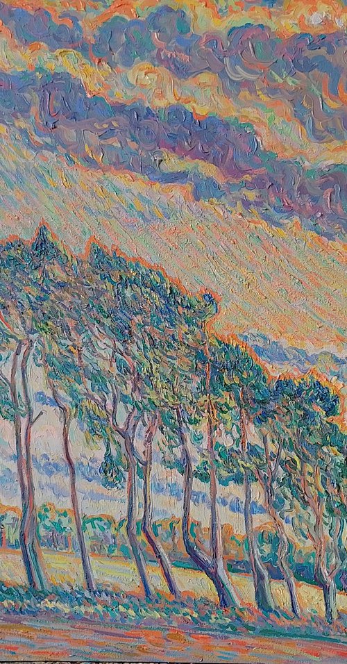 Sunset, Twisted Pine trees, Cockley Cley by Nigel Dickerson