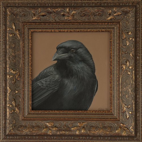 The Raven's Gaze by Alex Jabore