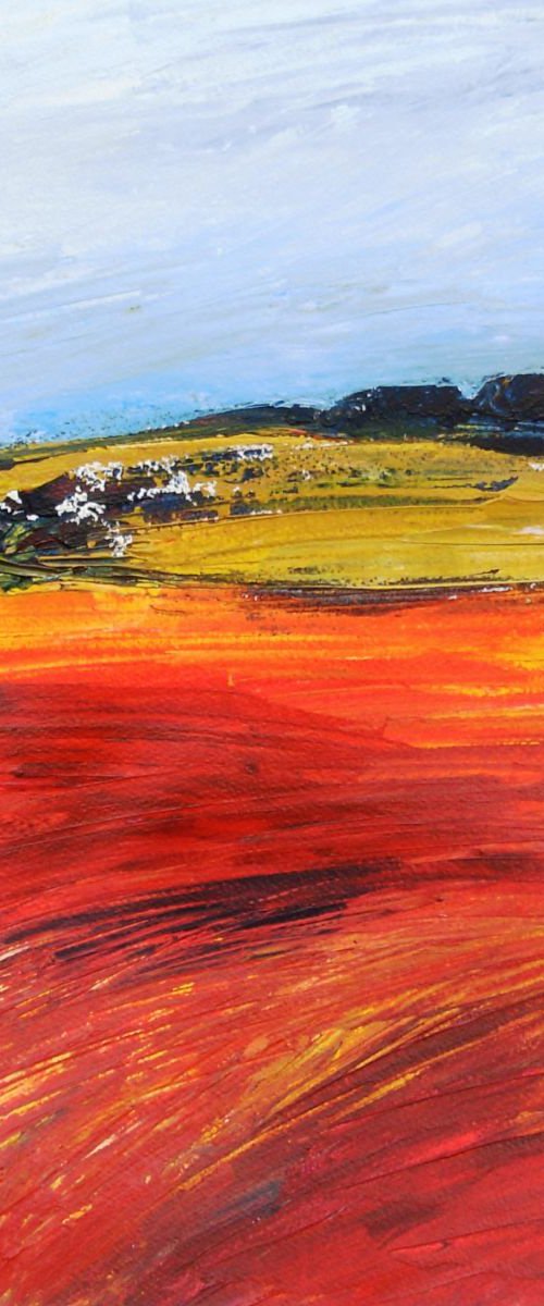 Poppy Fields by Jan Rippingham