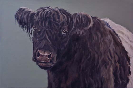 Lonesome Cow