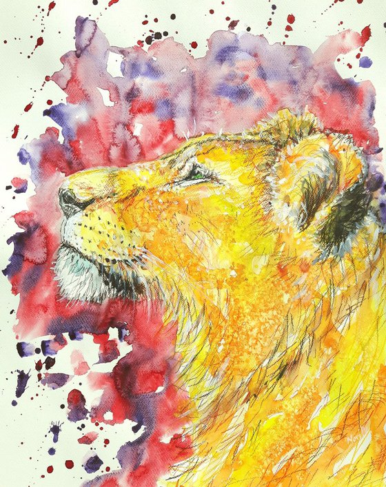 "Lioness"