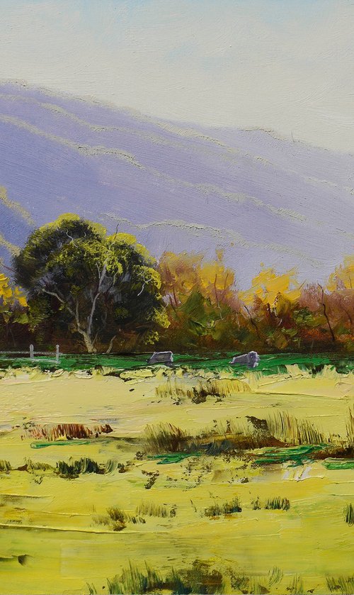 Australian rural landscape by Graham Gercken