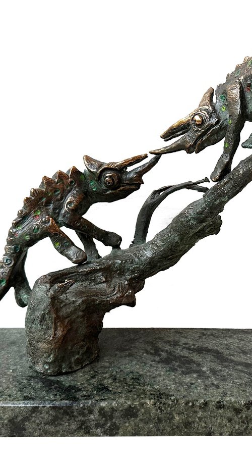 Chameleon duel by Toth Kristof