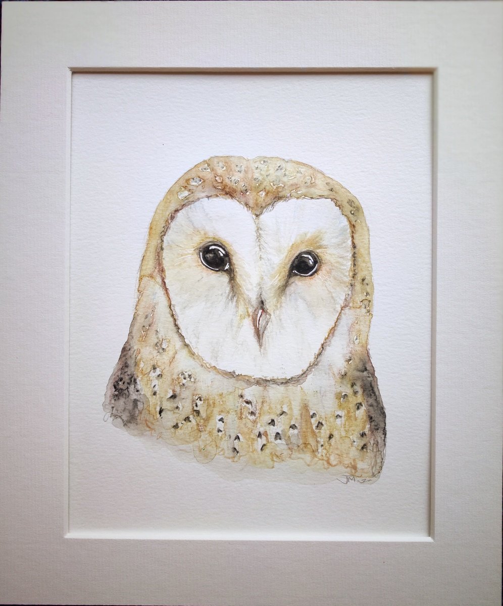 Barn owl by Jenny Moran
