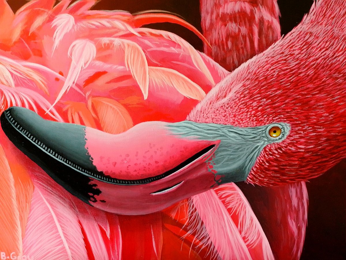 Flamingo by Barry Gray