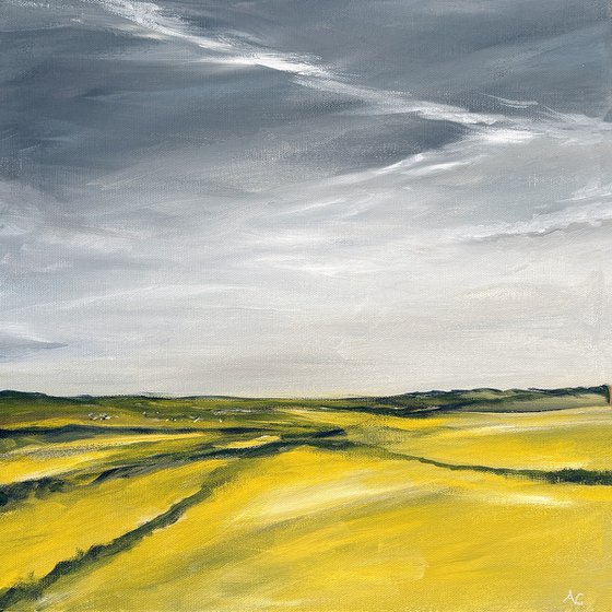 Summer Fields