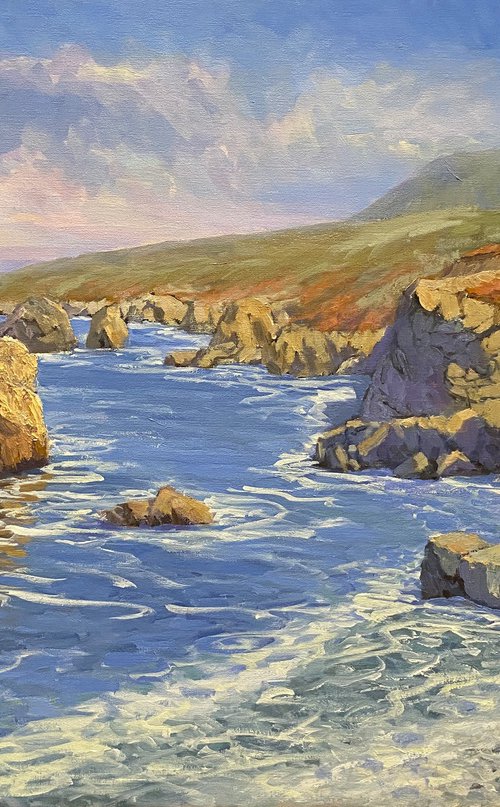 Granite Coast Of Garrapata by Tatyana Fogarty