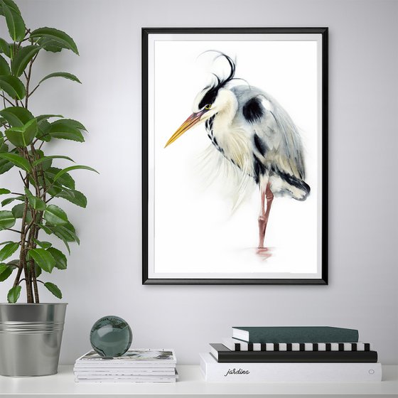 Grey heron -  19 x 25 in (50 x 65 cm) - Grey Heron Original Watercolor