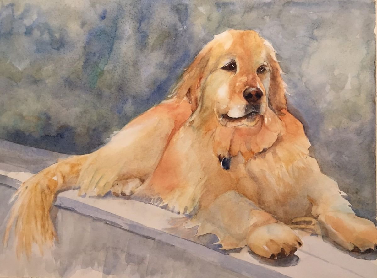 Pet Portrait commissions by Bronwen Jones