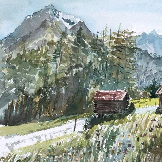 Alpine meadow - Telfeser Wiesen