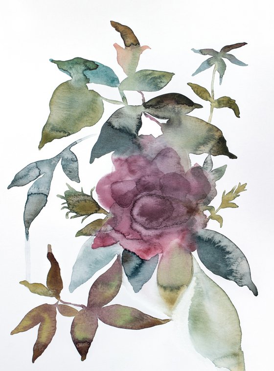 Rose Study No. 79