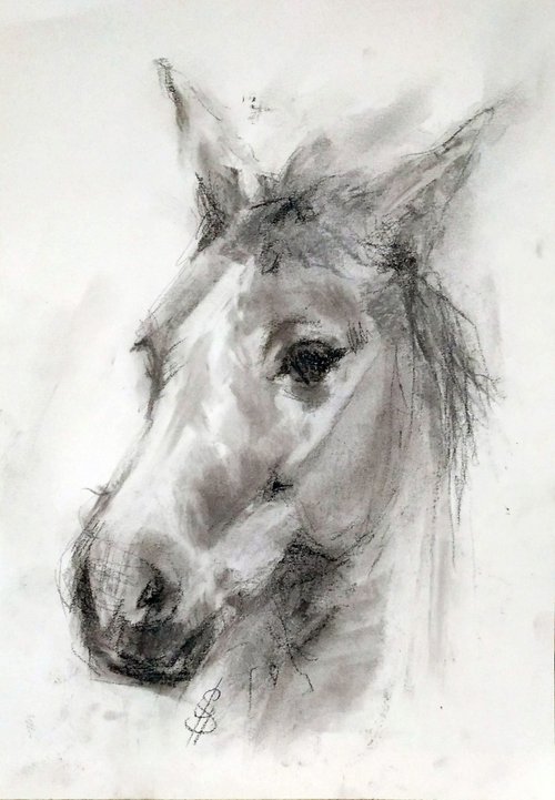 Horse III by SBBoursot