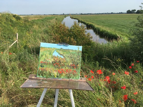 Landscape with poppies 5