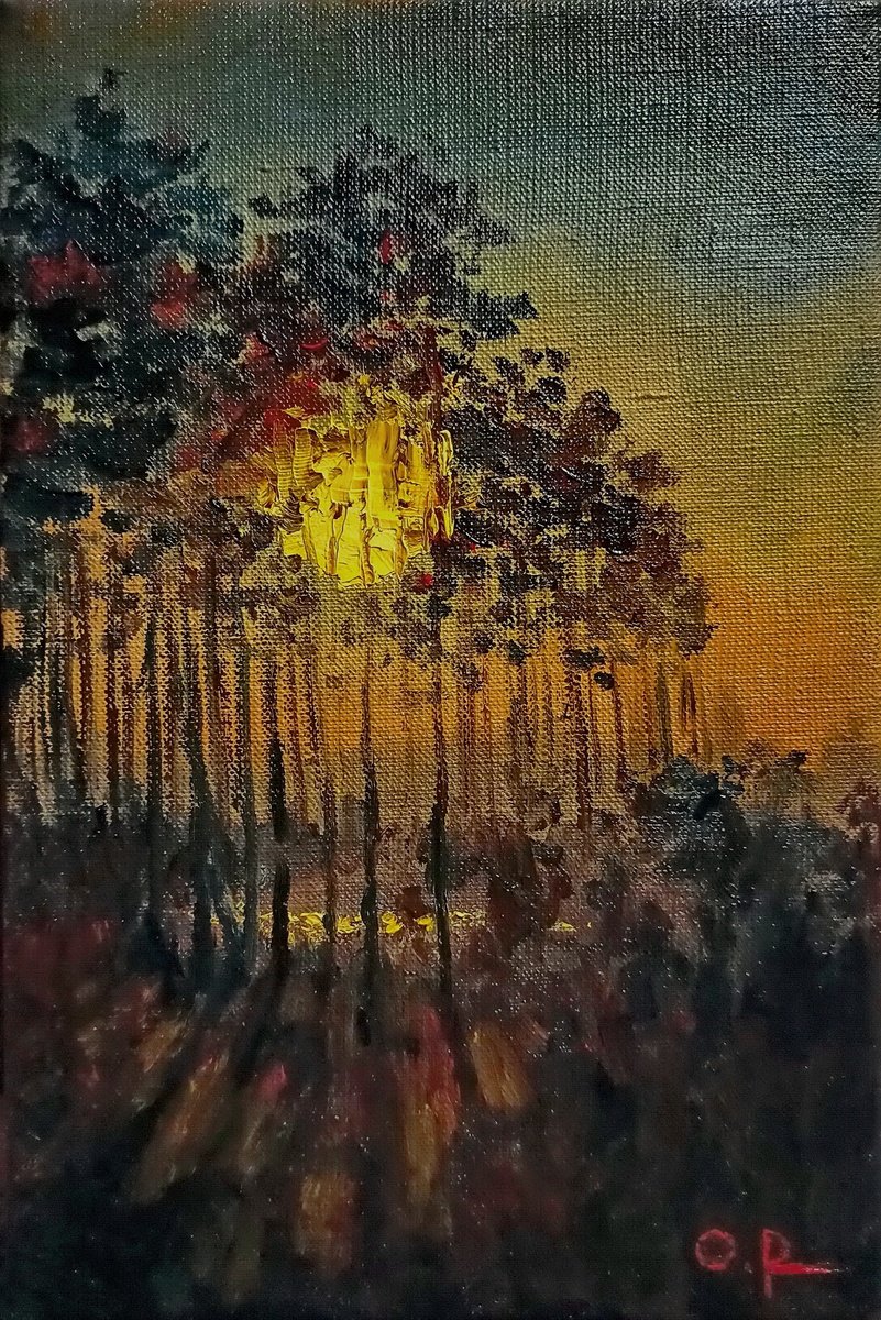 Impressionistic Landscape Oil Painting By Oleh Rak, 8 X 12", Full Moon, Original Artwork
