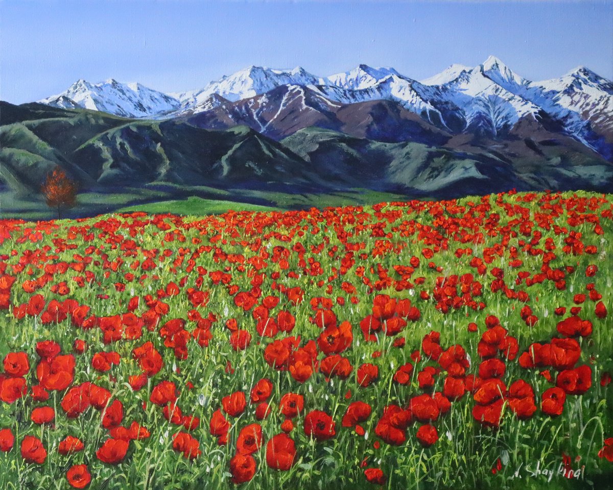 Impressionistic Landscape Oil Painting By Natalia Shaykina, 20 X 16", Mountain Poppies, Original Artwork